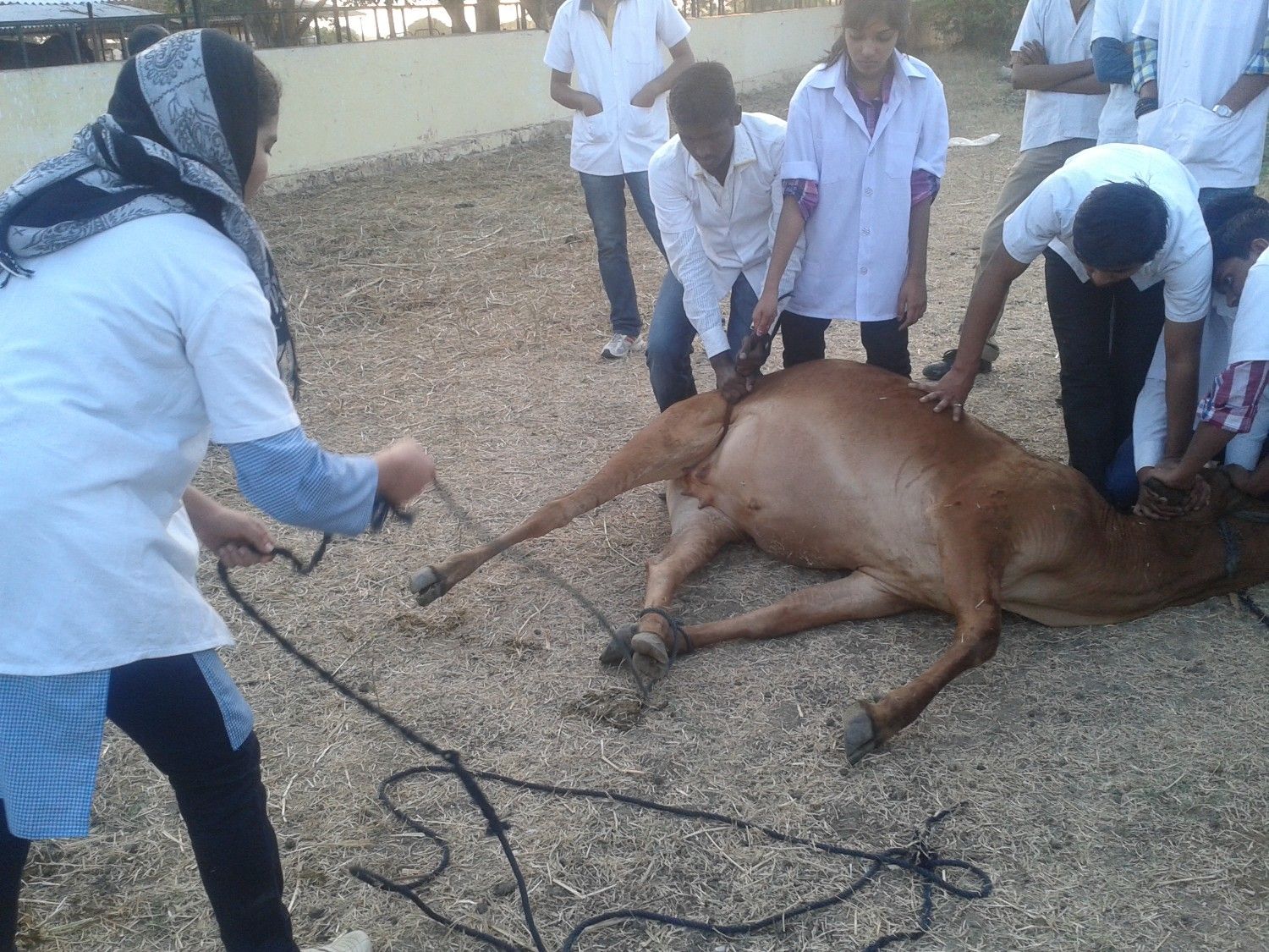 Students Performing Practical 3